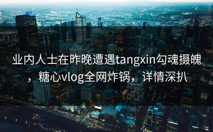 业内人士在昨晚遭遇tangxin勾魂摄魄，糖心vlog全网炸锅，详情深扒