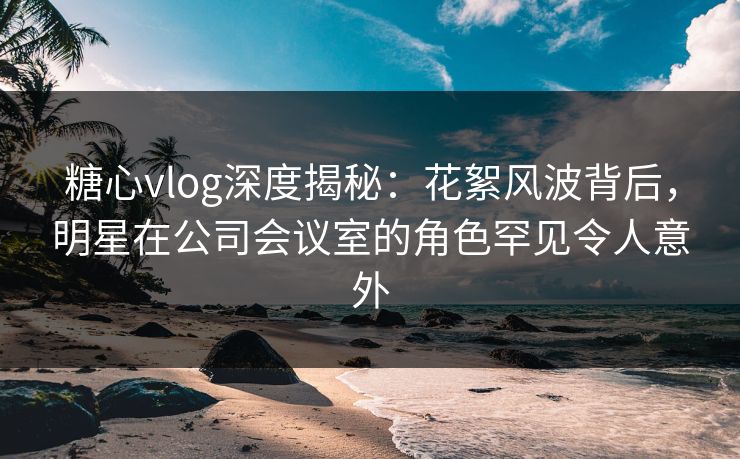 糖心vlog深度揭秘：花絮风波背后，明星在公司会议室的角色罕见令人意外