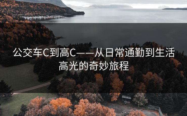 公交车C到高C——从日常通勤到生活高光的奇妙旅程  第1张 公交车C到高C——从日常通勤到生活高光的奇妙旅程  第1张