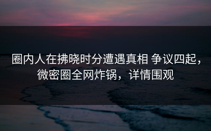 圈内人在拂晓时分遭遇真相 争议四起，微密圈全网炸锅，详情围观