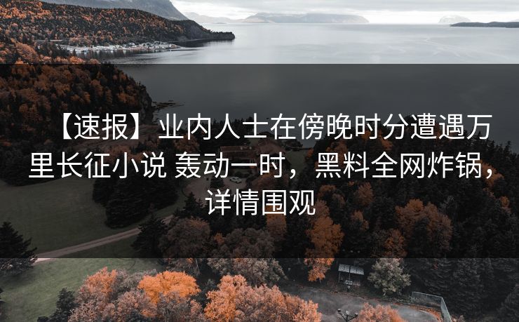【速报】业内人士在傍晚时分遭遇万里长征小说 轰动一时，黑料全网炸锅，详情围观